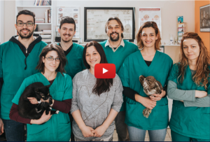 National Veterinary Accreditation Program – Accreditation Basics