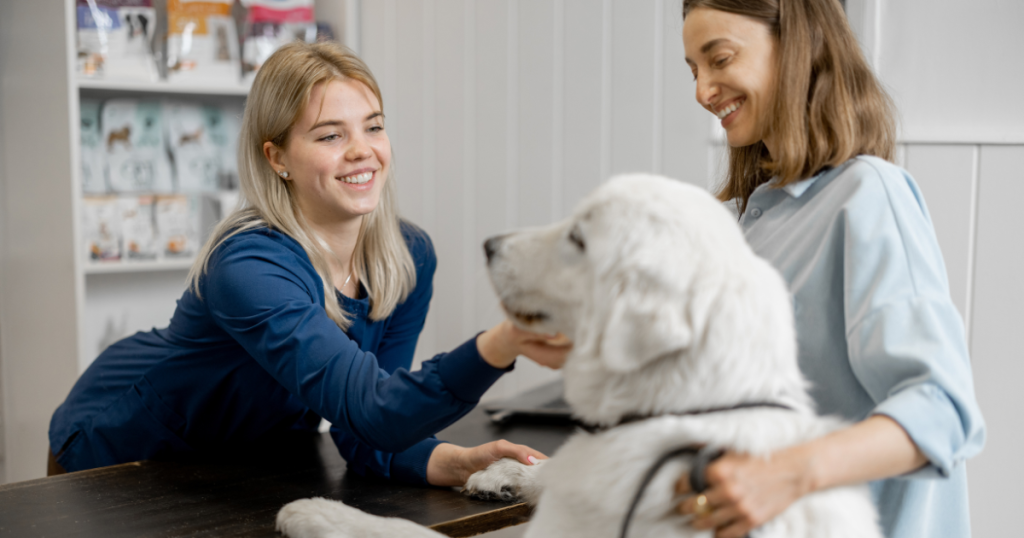 Handle with Care: Best Practices for Safe Animal Handling