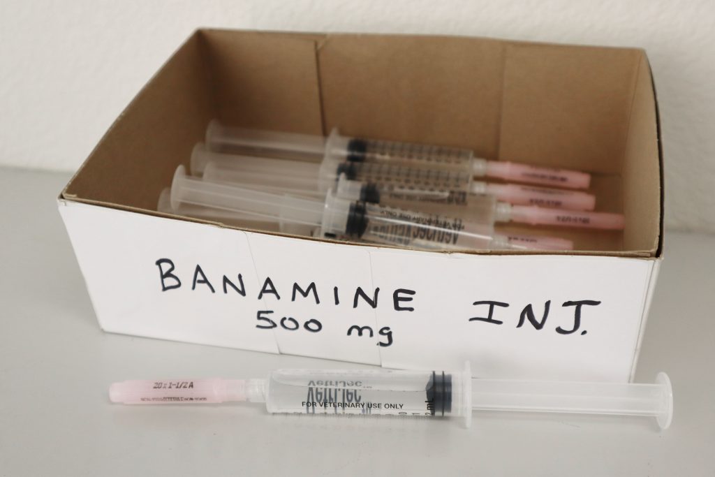 Loose capsules/tablets or pre-loaded syringes without labels