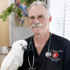 Picture of Brian Speer, DVM, DABVP (Avian Practice), DECZM (Avian)