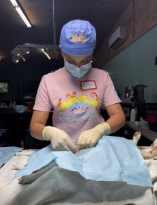 Picture of Peyton Aaronson, DVM