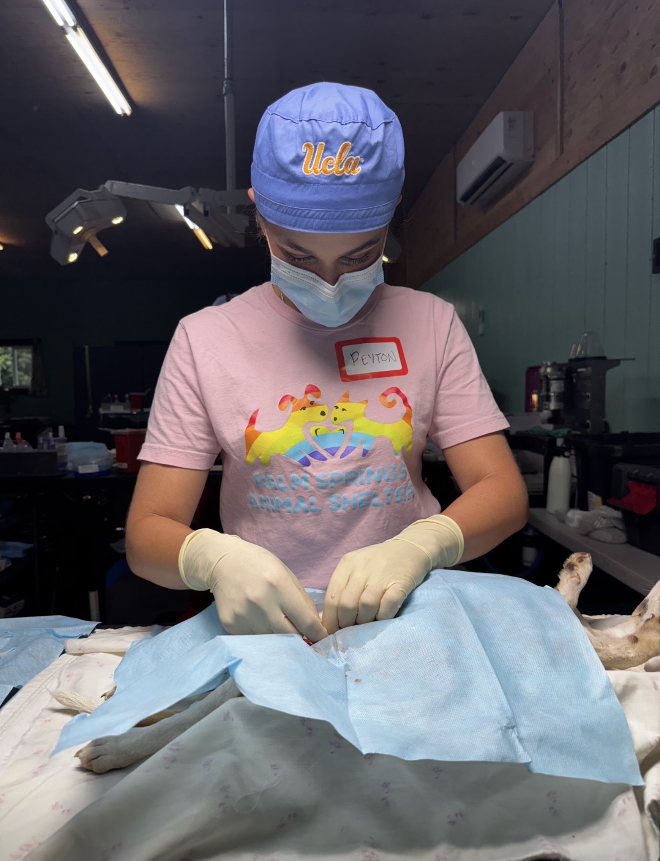 Peyton Aaronson, DVM