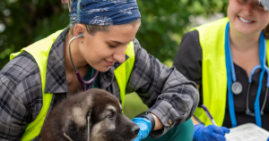 Picture of Windi Wojdak, RVT, Senior Managing Director of Rural Area Veterinary Services