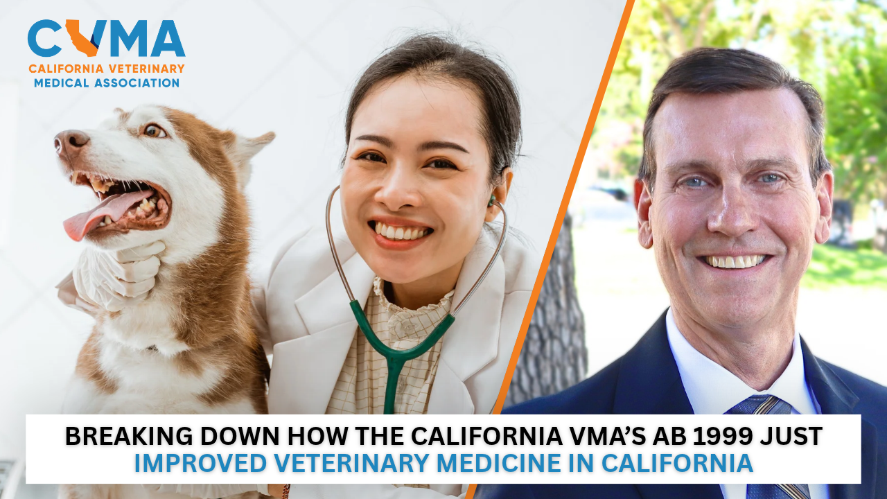 The Director's Cut: AB 1999 Is a Game-Changing Win for the Veterinary Profession